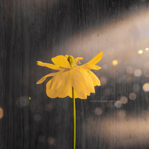 把亲妹妹c到高潮
